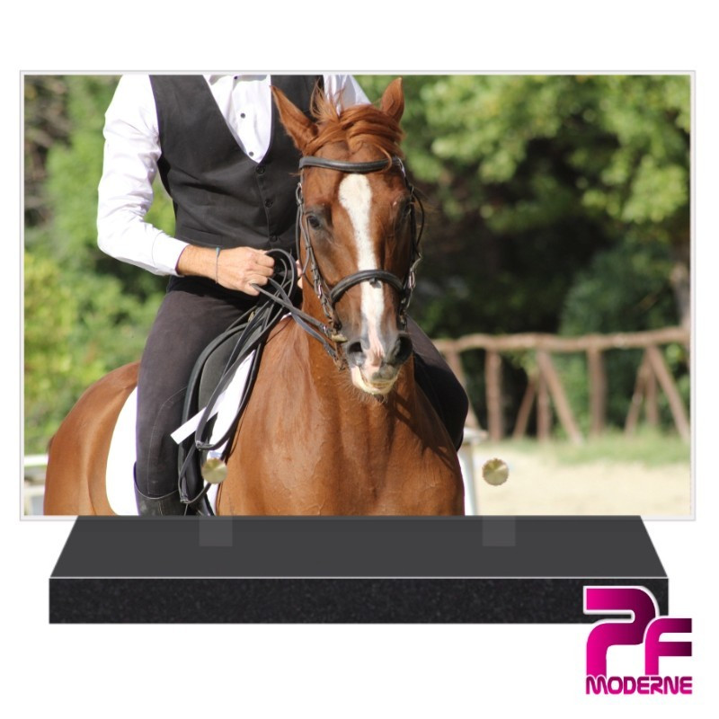 PLAQUE FUNÉRAIRE EQUITATION CAVALIER CHEVAL PFM10650