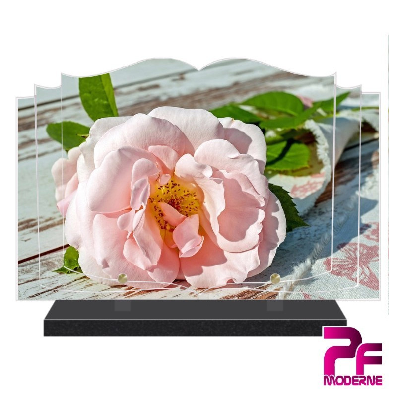 PLAQUE FUNÉRAIRE LIVRE NATURE ROSE ROSE PFM2015