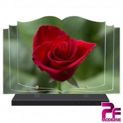 PLAQUE FUNÉRAIRE LIVRE NATURE FLEURS ROSE ROUGE PFM2017