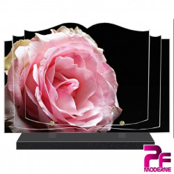 PLAQUE FUNÉRAIRE LIVRE FLEURS ROSE ROSE PFM2036