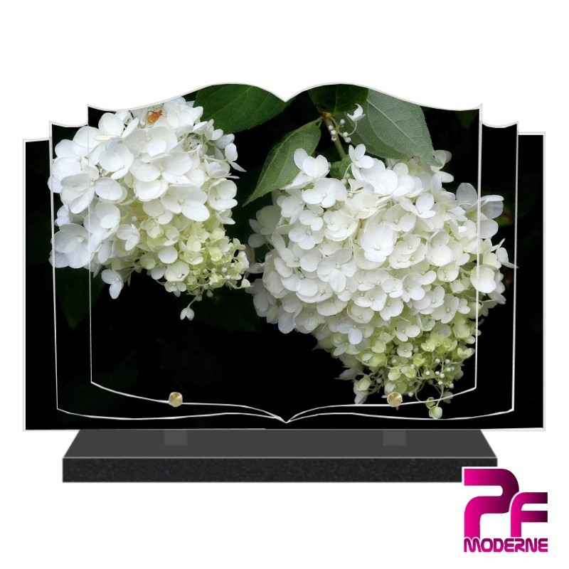 PLAQUE FUNÉRAIRE LIVRE FLEURS HORTENSIA BLANC PFM2068