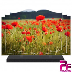 PLAQUE FUNÉRAIRE LIVRE FLEURS COQUELICOTS PFM2093