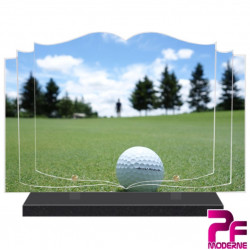 PLAQUE FUNÉRAIRE LIVRE GOLF GOLFEUR PFM10101