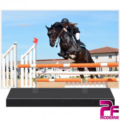 PLAQUE FUNÉRAIRE EQUITATION SPORT LOISIRS PFM10036