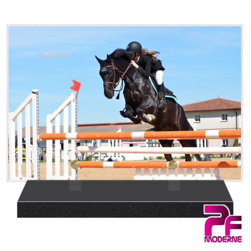 PLAQUE FUNÉRAIRE EQUITATION SPORT LOISIRS PFM10036