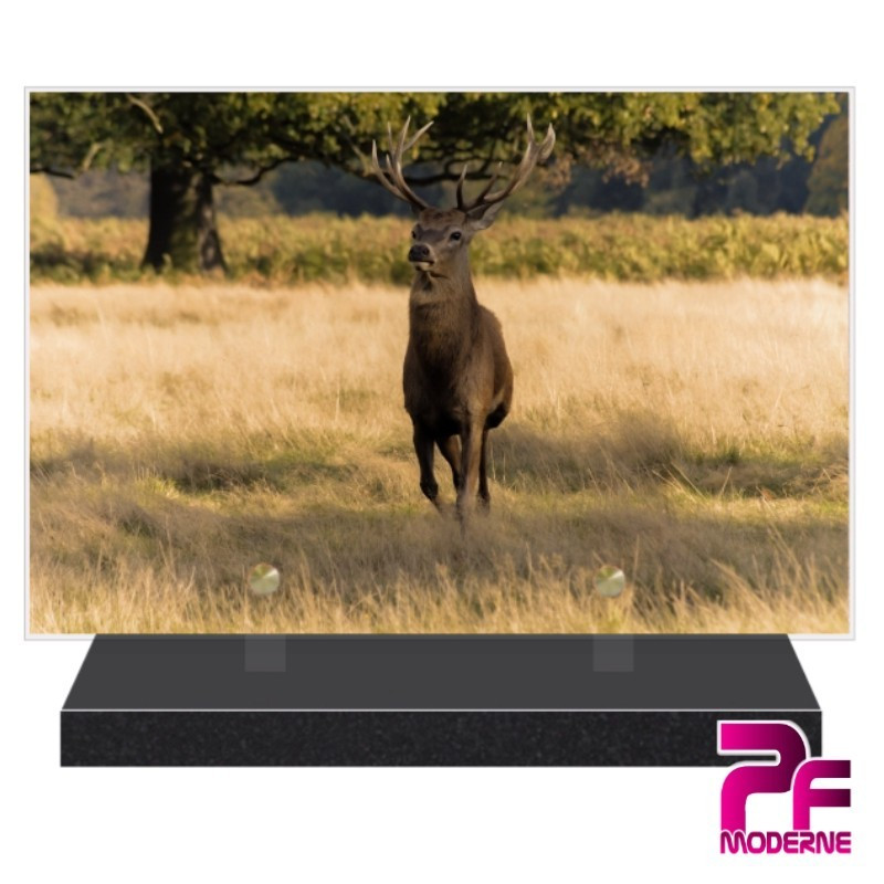 PLAQUE FUNÉRAIRE CHASSE CERF PFM8009 PLAQUE FUNÉRAIRE CHASSE CERF PFM8009