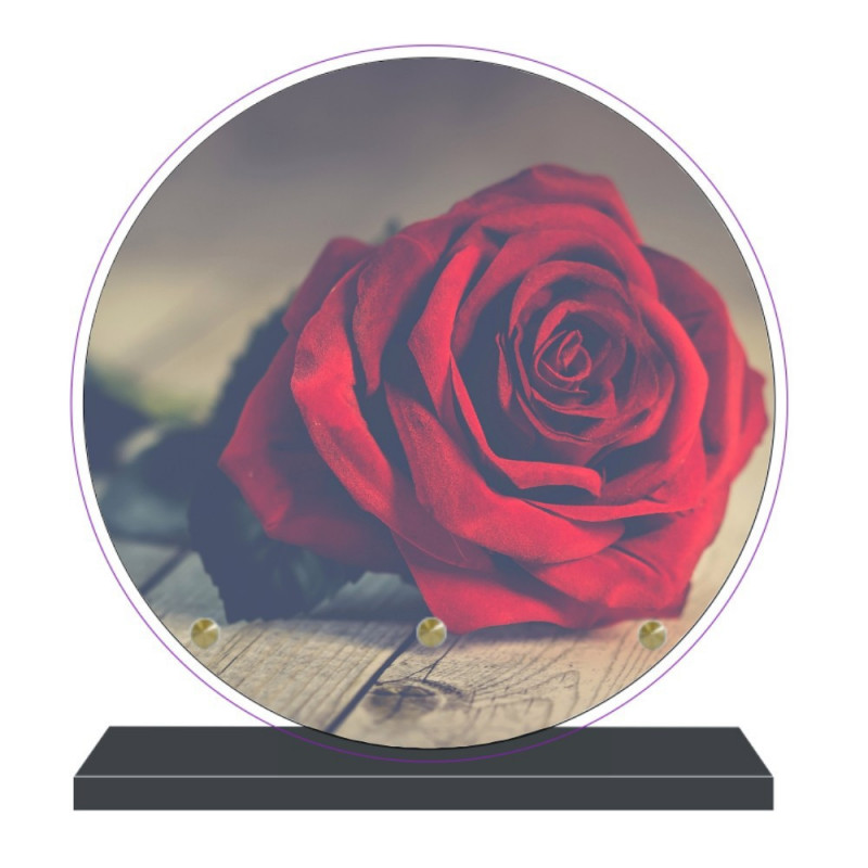 PLAQUE FUNÉRAIRE PLEXI RONDE FLEURS PFM2023 PLAQUE FUNÉRAIRE PLEXI RONDE FLEURS PFM2023