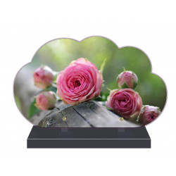 PLAQUE FUNÉRAIRE NUAGE ROSES PFM2019