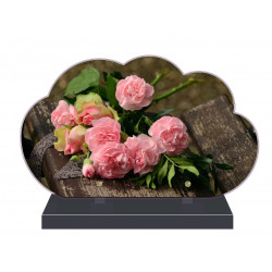 PLAQUE FUNÉRAIRE NUAGE ROSES PFM2028