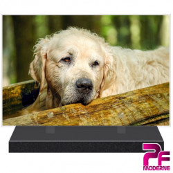 PLAQUE FUNÉRAIRE CHIEN GOLDEN RETRIEVER PFM4255