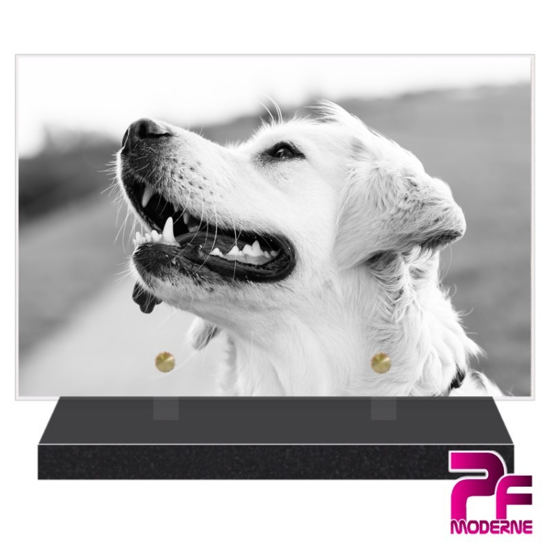 PLAQUE FUNÉRAIRE CHIEN GOLDEN RETRIEVER PFM4265 PLAQUE FUNÉRAIRE CHIEN GOLDEN RETRIEVER PFM4265