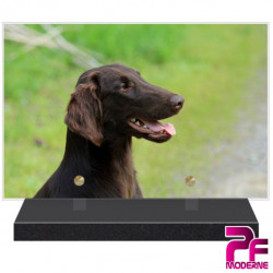 PLAQUE FUNÉRAIRE CHIEN RETRIEVER PFM4269