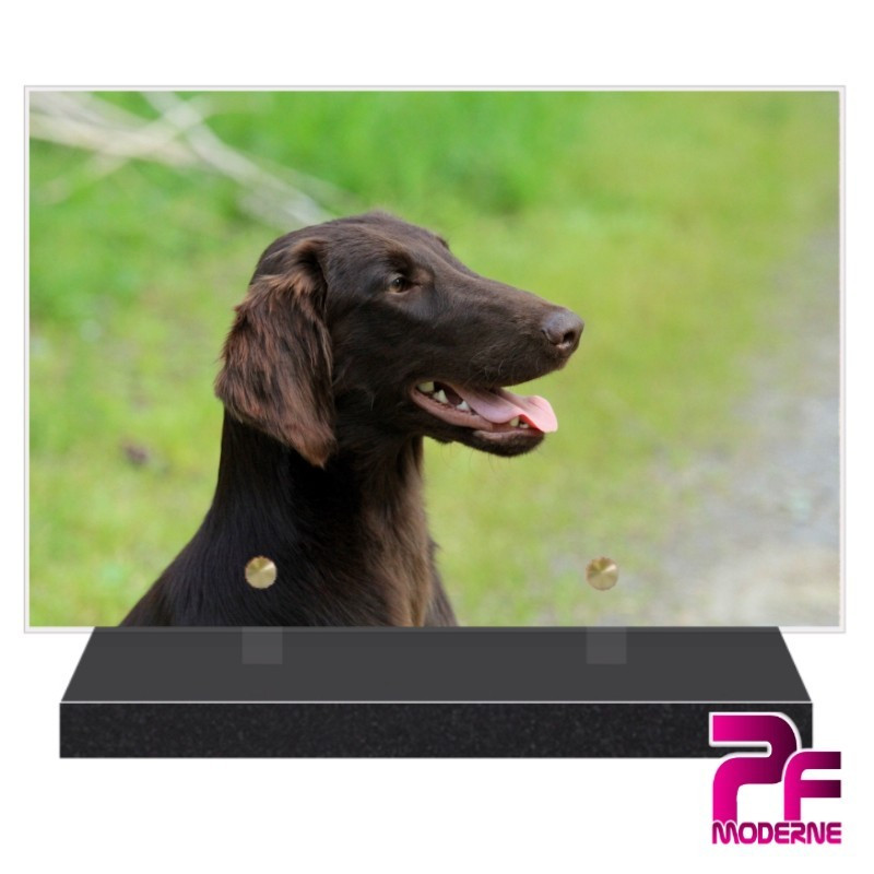 PLAQUE FUNÉRAIRE CHIEN RETRIEVER PFM4269