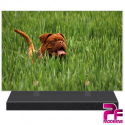 PLAQUE FUNÉRAIRE CHIEN DOGUE DE BORDEAUX PFM4291