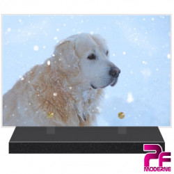 PLAQUE FUNÉRAIRE CHIEN GOLDEN RETRIEVER PFM4296