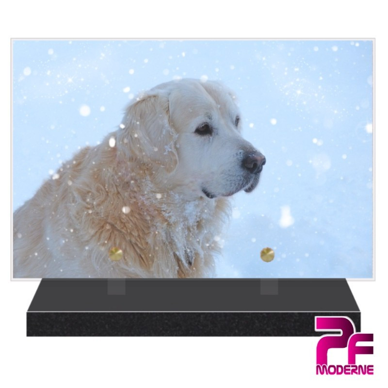 PLAQUE FUNÉRAIRE CHIEN GOLDEN RETRIEVER PFM4296