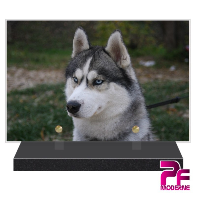 PLAQUE FUNÉRAIRE CHIEN HUSKY PFM4306