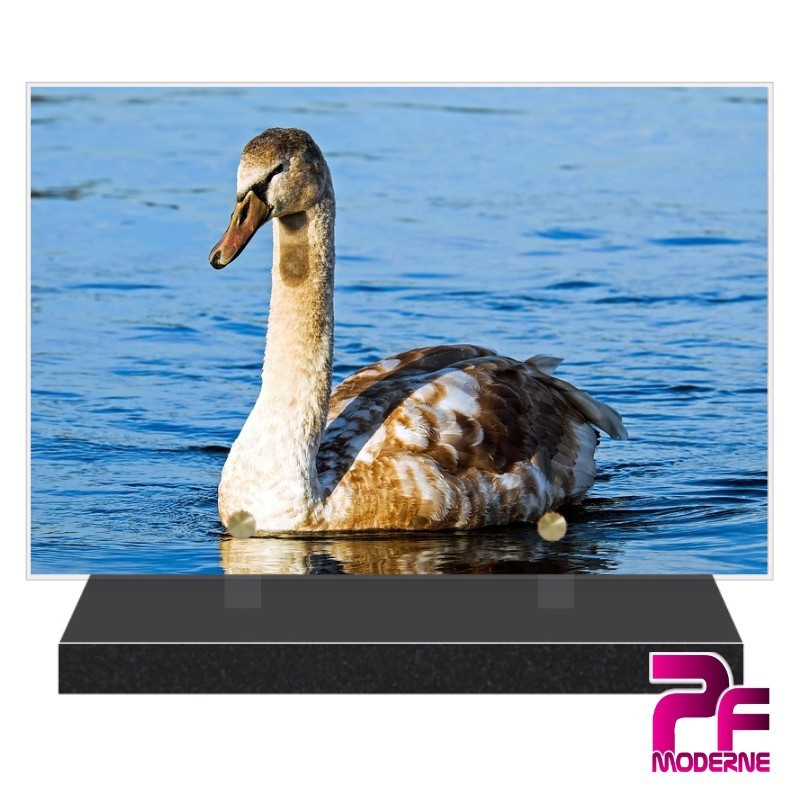 PLAQUE FUNÉRAIRE ANIMAUX CYGNE PFM4400