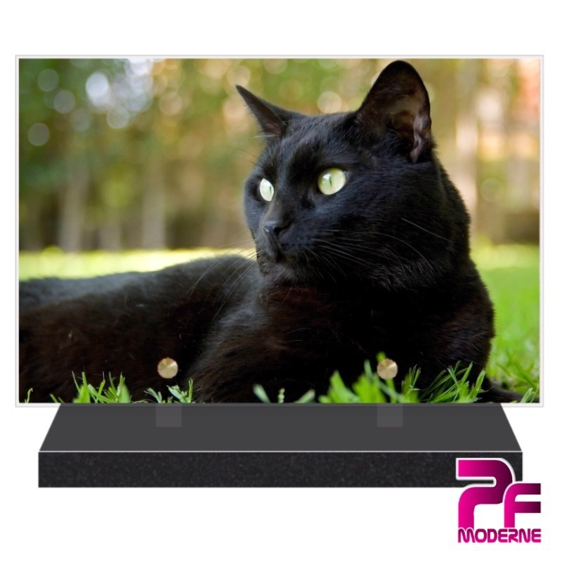 PLAQUE FUNÉRAIRE ANIMAUX CHAT PFM4107 PLAQUE FUNÉRAIRE ANIMAUX CHAT PFM4107