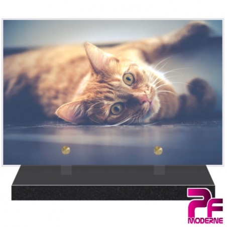 Plaque En Bois Peint Personnalisée Faite Main « Des Chats