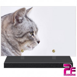 PLAQUE FUNÉRAIRE ANIMAUX CHAT PFM4120