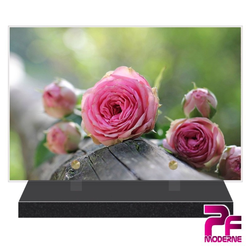 PLAQUE FUNÉRAIRE NATURE ROSES DE JARDIN PFM2019