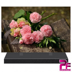 PLAQUE FUNÉRAIRE NATURE GRAPPE DE ROSES PFM2028