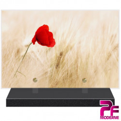 PLAQUE FUNÉRAIRE NATURE CHAMPS COQUELICOT PFM2090