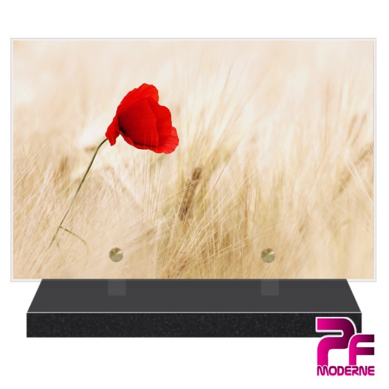 PLAQUE FUNÉRAIRE NATURE CHAMPS COQUELICOT PFM2090