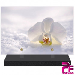 PLAQUE FUNÉRAIRE NATURE FLEURS ORCHIDÉE BLANCHE PFM2096