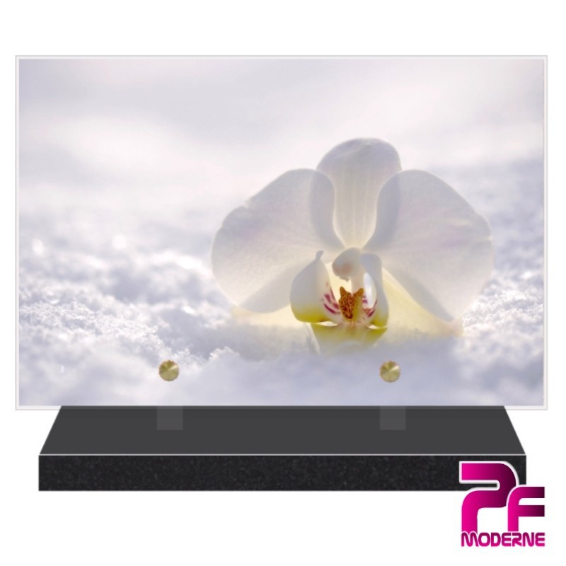 PLAQUE FUNÉRAIRE NATURE FLEURS ORCHIDÉE BLANCHE PFM2096