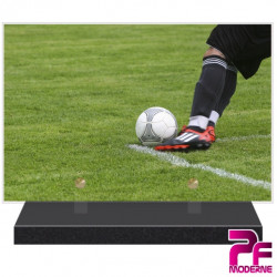 PLAQUE FUNÉRAIRE FOOTBALL FOOTBALLEUR PFM10155