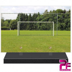 PLAQUE FUNÉRAIRE FOOTBALL GARDIEN CAGE PFM10158