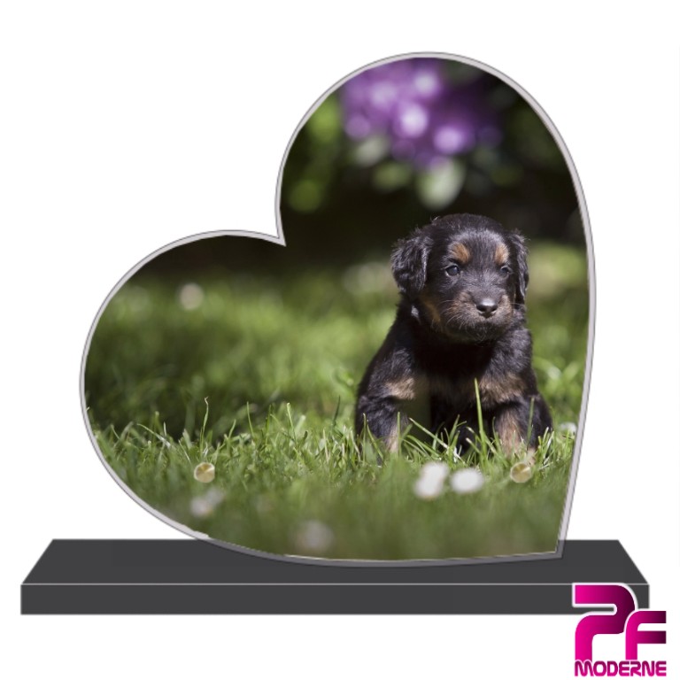 PLAQUE FUNÉRAIRE MODERNE PARIS 1 - plaque coeur. LIVRAISON GRATUITE EN COLIS RELAIS en 24H A PARIS 1 - DÉLAI DE FABRICATION 48H00  ✅LIVRAISON DE PLAQUE FUNÉRAIRE MODERNE A PARIS 1 - ✅ENVOI PLAQUE FUNÉRAIRE MODERNE A PARIS 1  ✅ENVOYER UNE PLAQUE FUNÉRAIRE MODERNE A PARIS 1 - ✅FAIRE LIVRER UNE PLAQUE FUNÉRAIRE MODERNE A PARIS 1  ✅PLAQUE FUNÉRAIRE MODERNE PARIS 1 - ✅PLAQUE FUNÉRAIRE PAS CHÈRE PARIS 1 - ✅PLAQUE FUNÉRAIRE TEXTE  ✅PLAQUE FUNÉRAIRE PERSONNALISABLE PARIS 1 - ✅PLAQUE FUNÉRAIRE PERSONNALISÉE PARIS 1 - ✅PLAQUE FUNÉRAIRE COEUR PARIS 1  ✅PLAQUE FUNÉRAIRE LIVRE OUVERT PARIS 1 - ✅PLAQUE FUNÉRAIRE AVEC PHOTO PARIS 1   ✅PLAQUE FUNÉRAIRE PLEXI PARIS 1 -  ✅FABRICANT DE PLAQUE FUNÉRAIRE MODERNE PARIS 1  ✅PLAQUE FUNÉRAIRE ORIGINALE PARIS 1 - ✅PLAQUE FUNÉRAIRE CONTEMPORAINE PARIS 1   ✅PLAQUE FUNÉRAIRE DESIGN - ✅PLAQUE TOMBALE PERSONNALISÉE